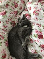 Profile picture Hermine