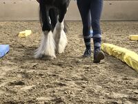 Profile picture Kati Auer