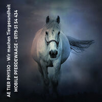 Profile picture AE Tier Physio