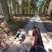 Profile picture Marina Nimetz