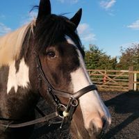 Profile picture