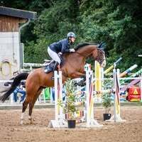 Profile picture Anja Cohrs